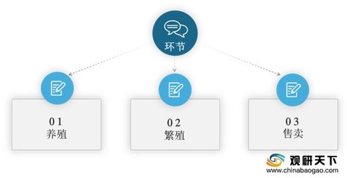 2020年中国宠物繁殖与活体交易市场调研报告 深度分析与未来商机预测